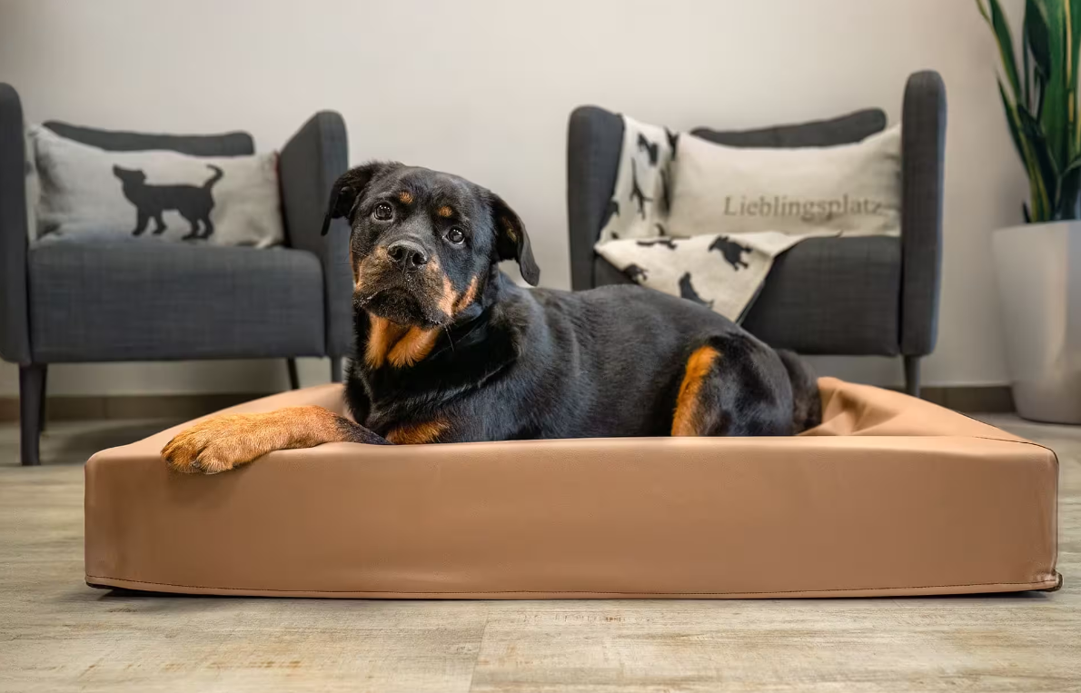 Hundebett Kvadro Hundebett Kvadro
